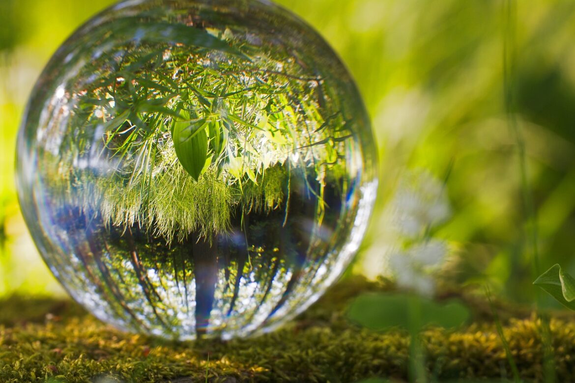 Naturaleza Holográfica (parte II)