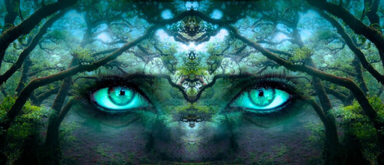 fantasy, eyes, forest-2824304.jpg