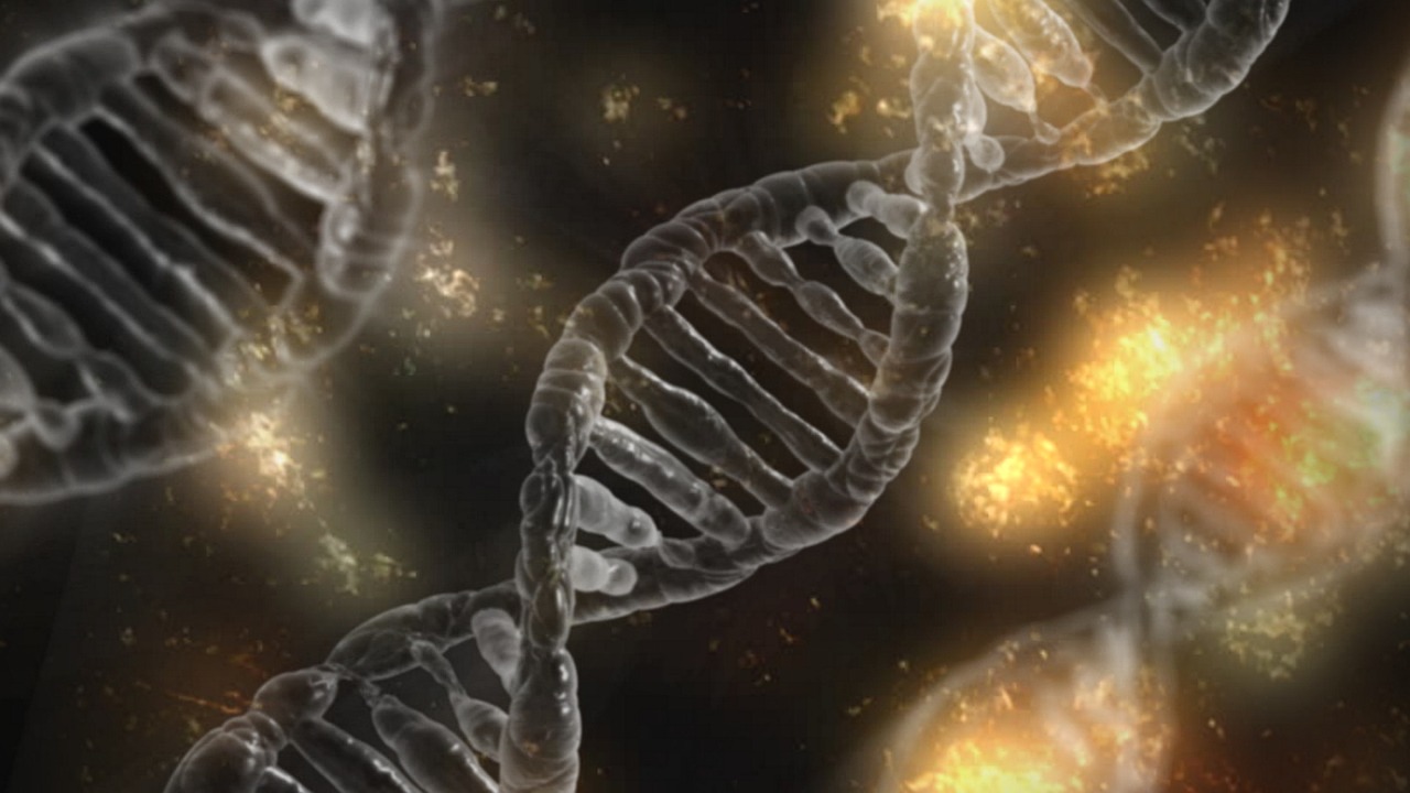 La Conexión del Genoma La Conexión del Genoma