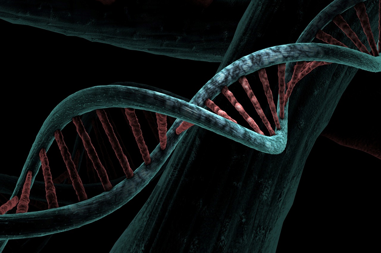 Biosensores de ADN con nanotubos de carbono Biosensores de ADN con nanotubos de carbono
