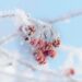 “El hielo de agua amorfo se revela como un rompecabezas de física y química