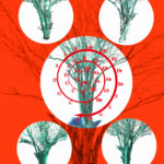 el crecimiento en espiral de los árboles