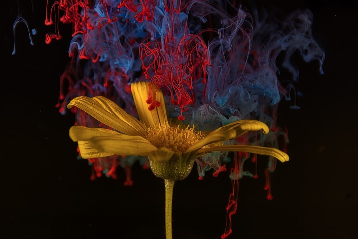 flower, ink, abstract