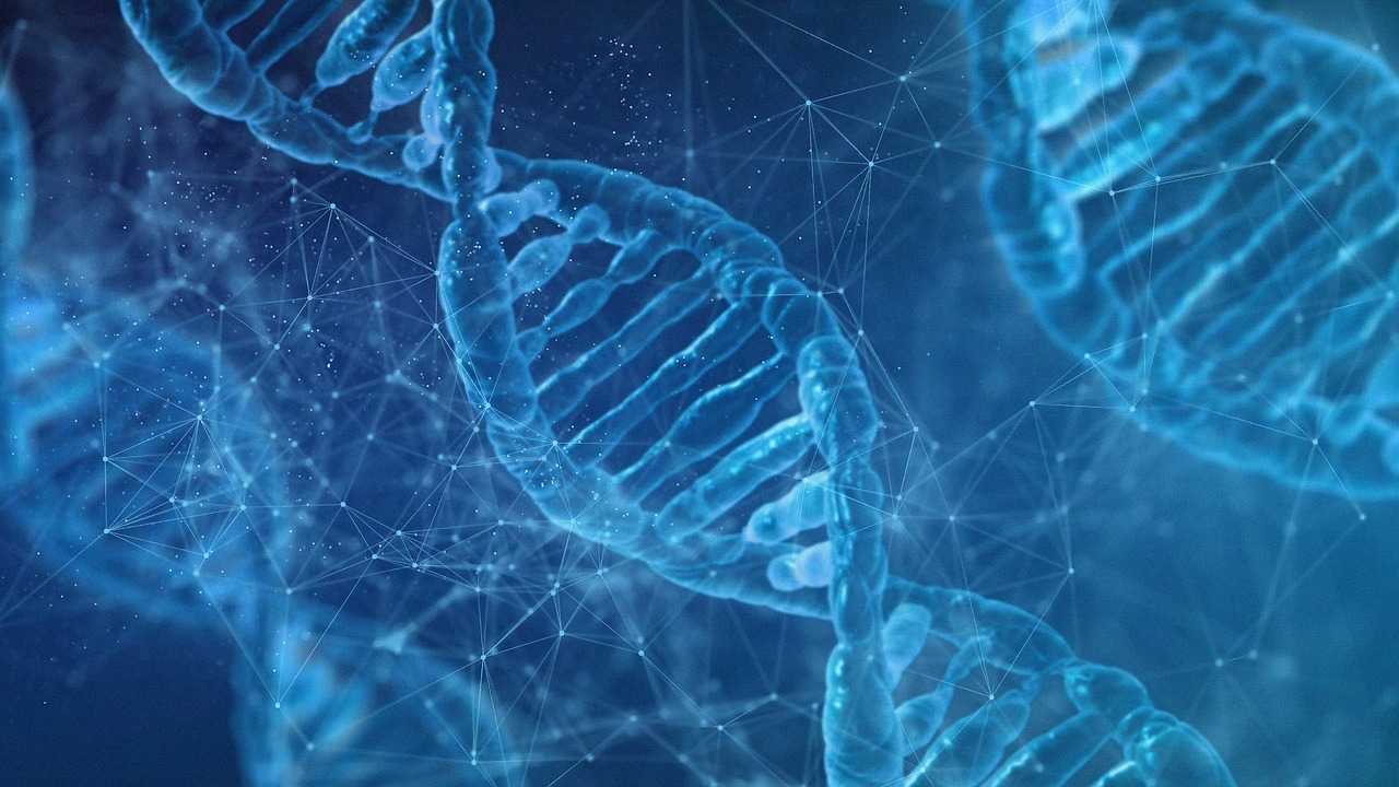 dna, biology, wallpaper 4k
