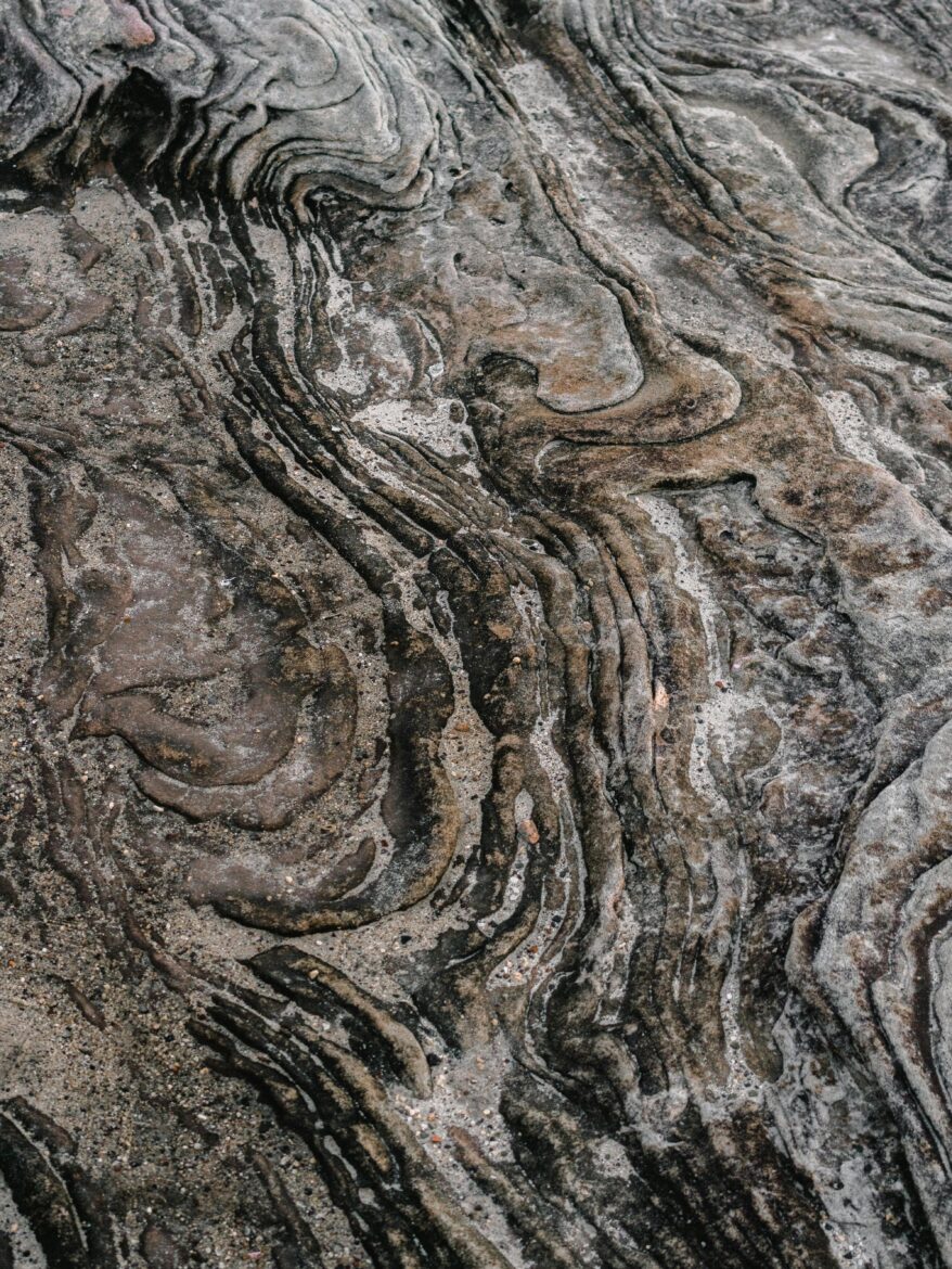 Close-up view of weathered rock texture at Bondi Beach, showcasing natural patterns and formations.